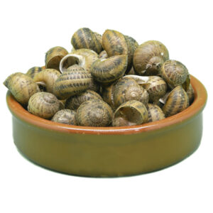 Caracol Bover Mediano (Helix aspersa Müller)
