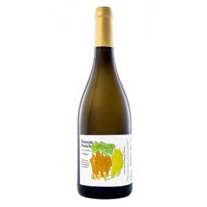 Huracán Daniela Gonzalo Celayeta Wines 75 cl