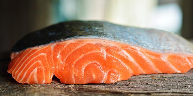 propiedades del salmon