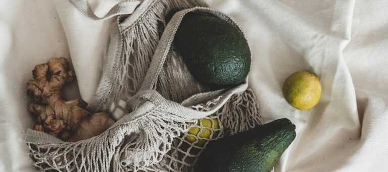como germinar un aguacate