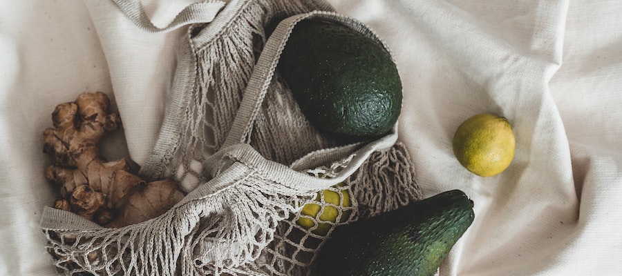 como germinar un aguacate