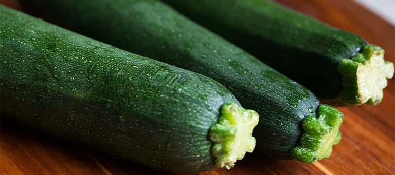 pepino fruta o verdura
