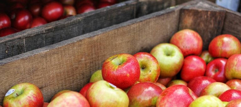 fruta otoño