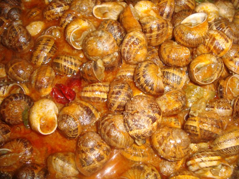 caracoles en salsa