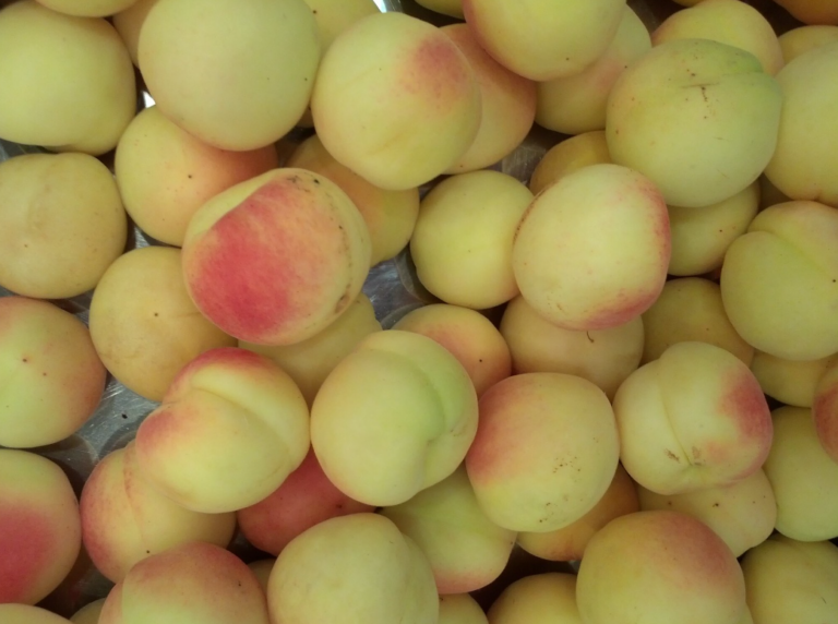 beneficios de las frutas con hueso